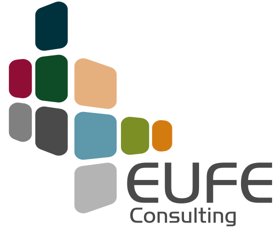 EUFE Consulting PROZESSEDATENWERTE